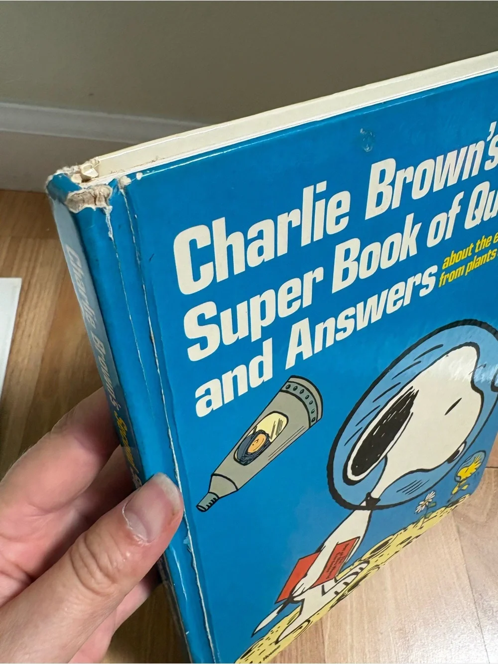 N/A charlie brown